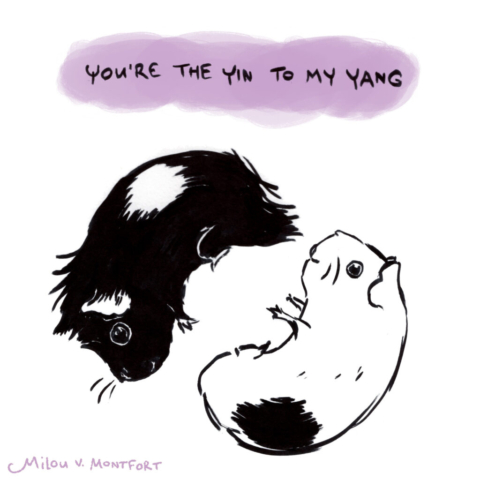 tekening van twee cavia's in de vorm van yin-yang